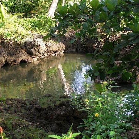 Piscina Natural On The Sea Cahuita Exterior foto